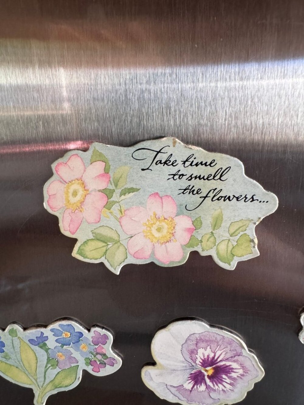 Vintage Floral Fridge Magnet Set - 8pc Watercolor Botanical & Butterfly - Picture 4 of 7